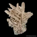 Cerussite - image 5