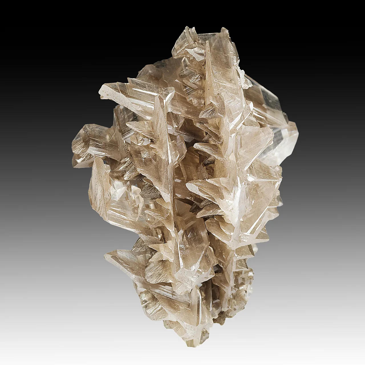 Cerussite - image 1