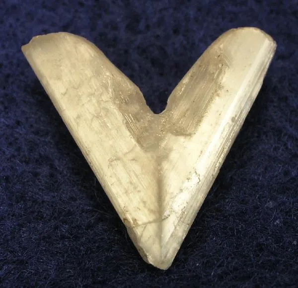 Cerussite image