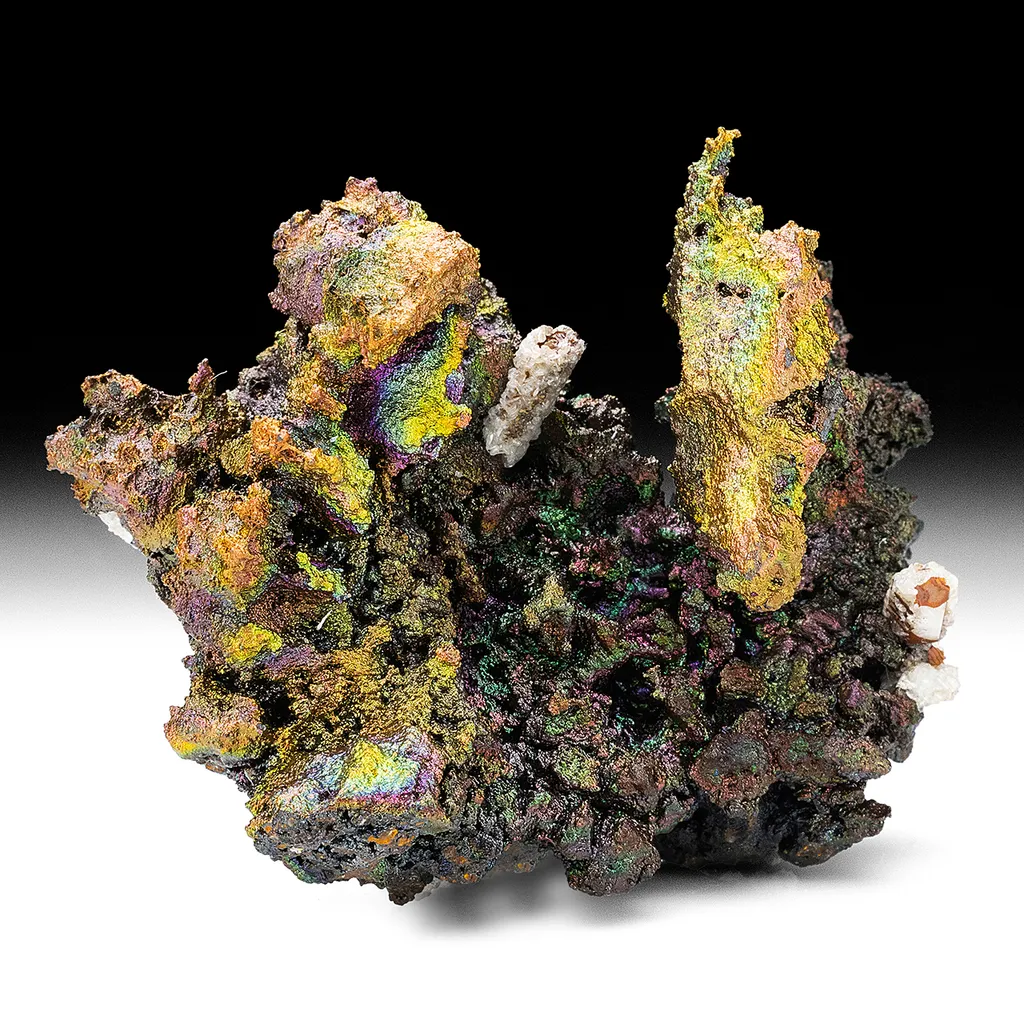 Cerussite after Anglesite with Goethite image
