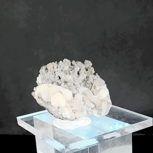 specimen video