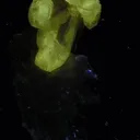 Cerussite, Baryte - image 3