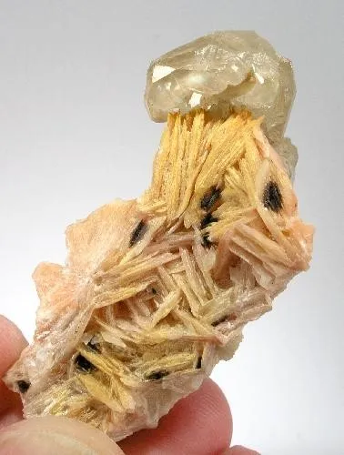 Cerussite, Baryte image