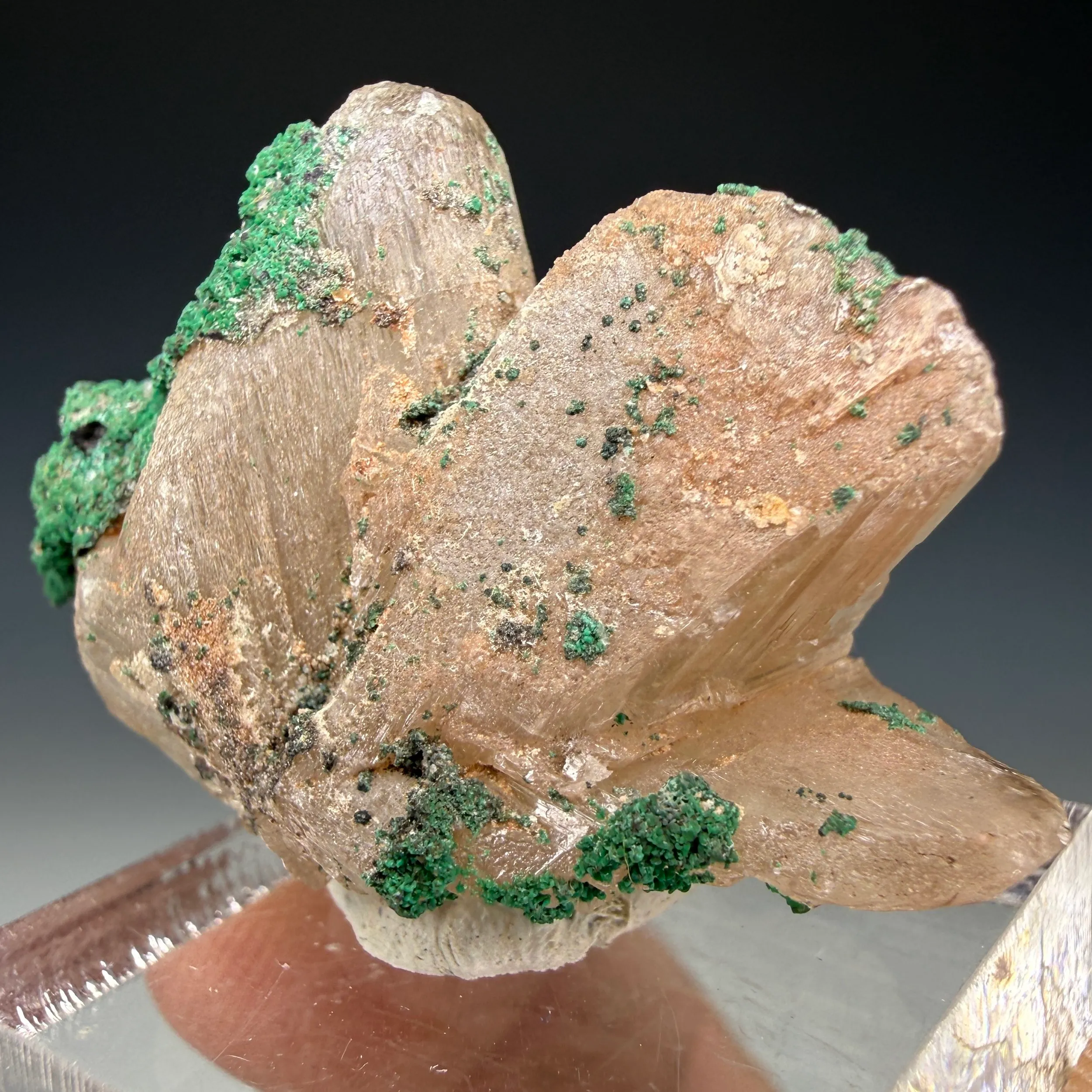 Cerussite - image 3