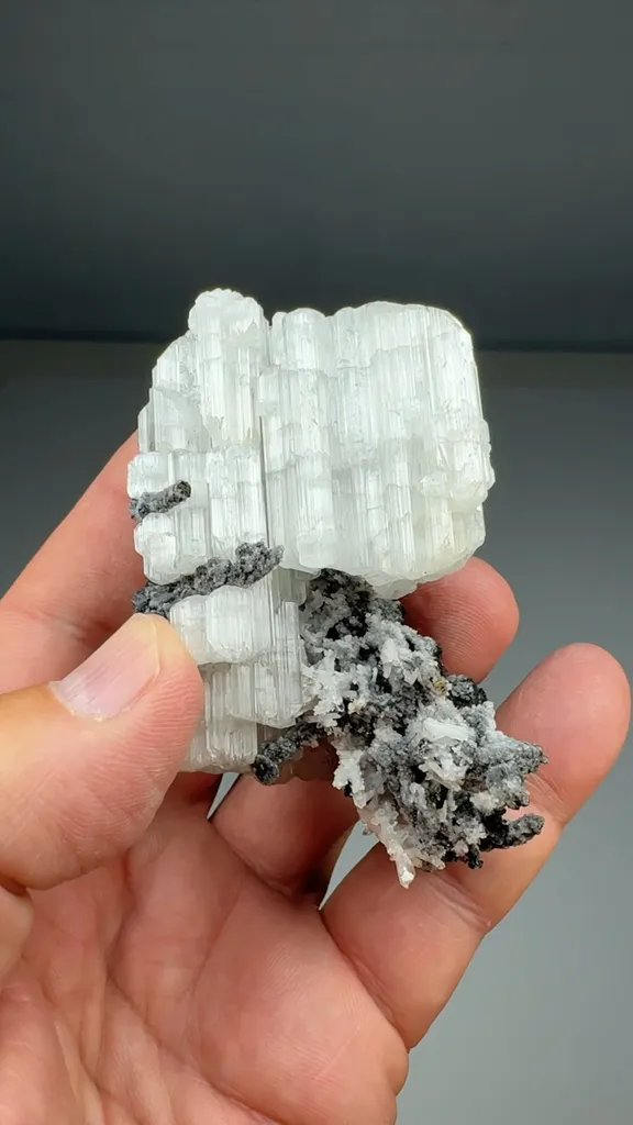 Cerussite (CAR-0046) image