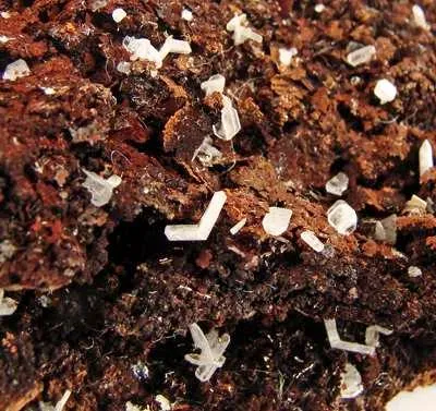 Cerussite - image 2