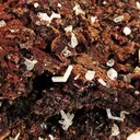 Cerussite - image 2