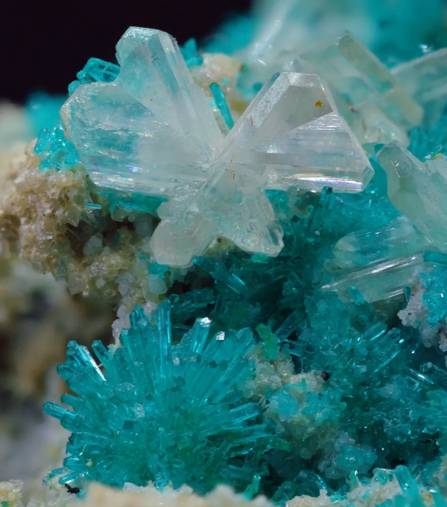 Cerussite & Dioptase image