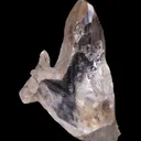 Cerussite (first oxide zone circa 1900) ex. Maucher - image 2