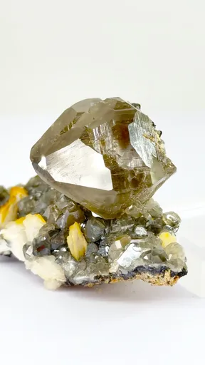 specimen video