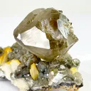 specimen video