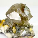 specimen video