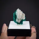 Cerussite in a Dioptase cast - image 2