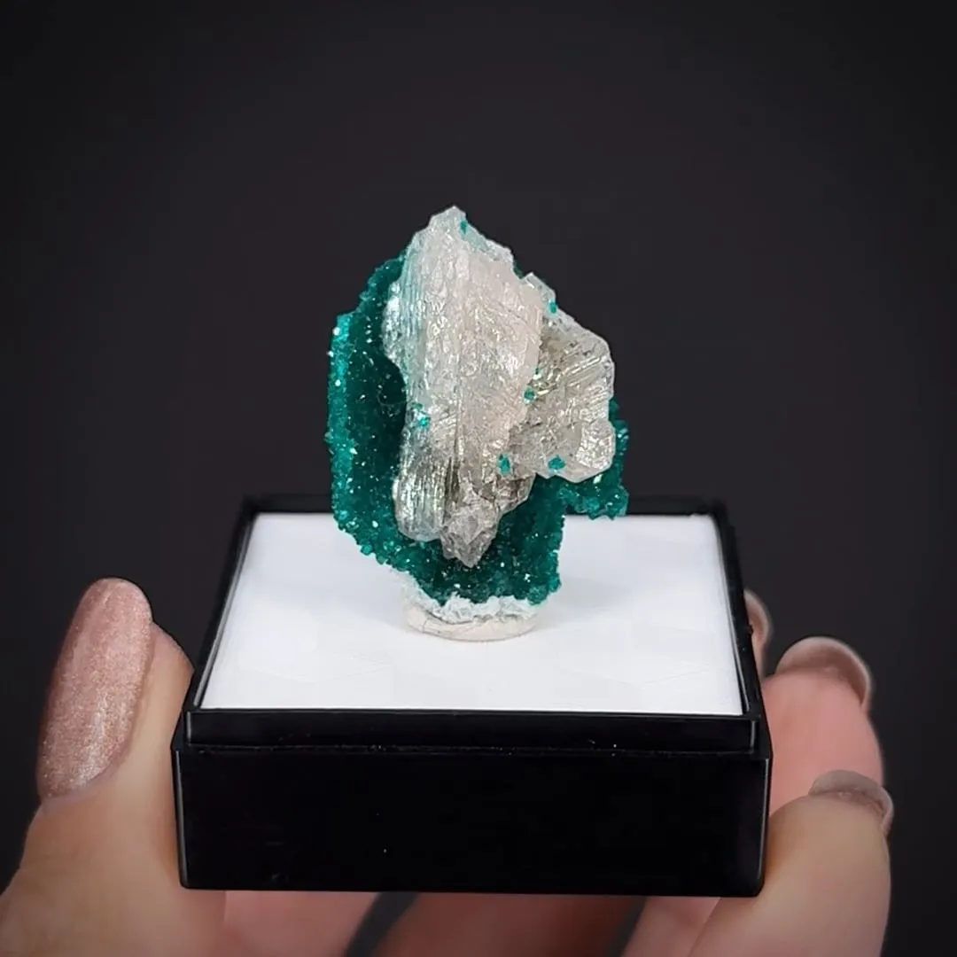 Cerussite in a Dioptase cast - image 2
