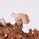 Cerussite on Copper - image 2