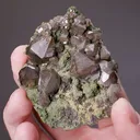 Cerussite on CUPRIAN Smithsonite - image 2