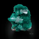Cerussite on Dioptase - image 2