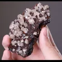 Cerussite on Galena - image 2