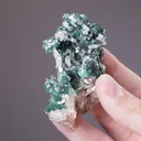 Cerussite on Malachite - image 2