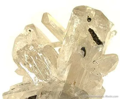 Cerussite on Matrix - image 4