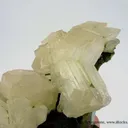 Cerussite on Mottramite - image 4