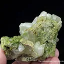 Cerussite on Mottramite - image 6