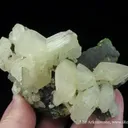 Cerussite on Mottramite - image 2