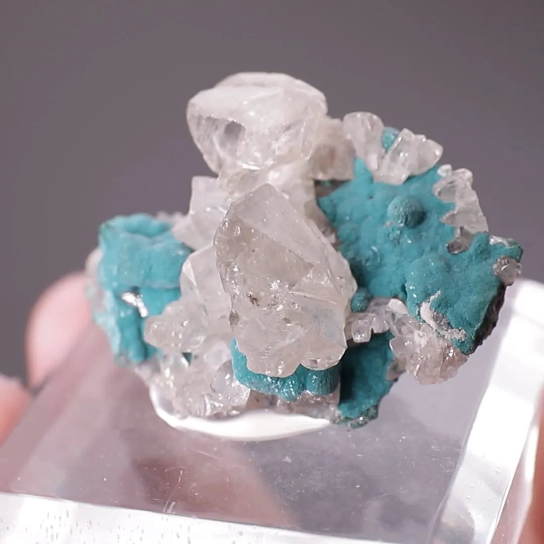 Cerussite on Rosasite - image 2