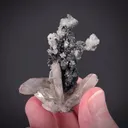 Cerussite on Smithsonite - image 2