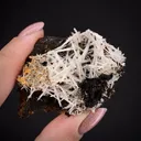 Cerussite (rare for locale) - image 2