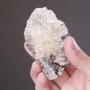 Cerussite (Reticulated) - image 2