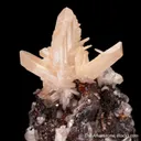 Cerussite (twinned) on Galena - image 7