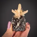 Cerussite (twinned) on Galena - image 2