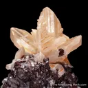 Cerussite (twinned) on Galena - image 6