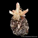 Cerussite (twinned) on Galena - image 1