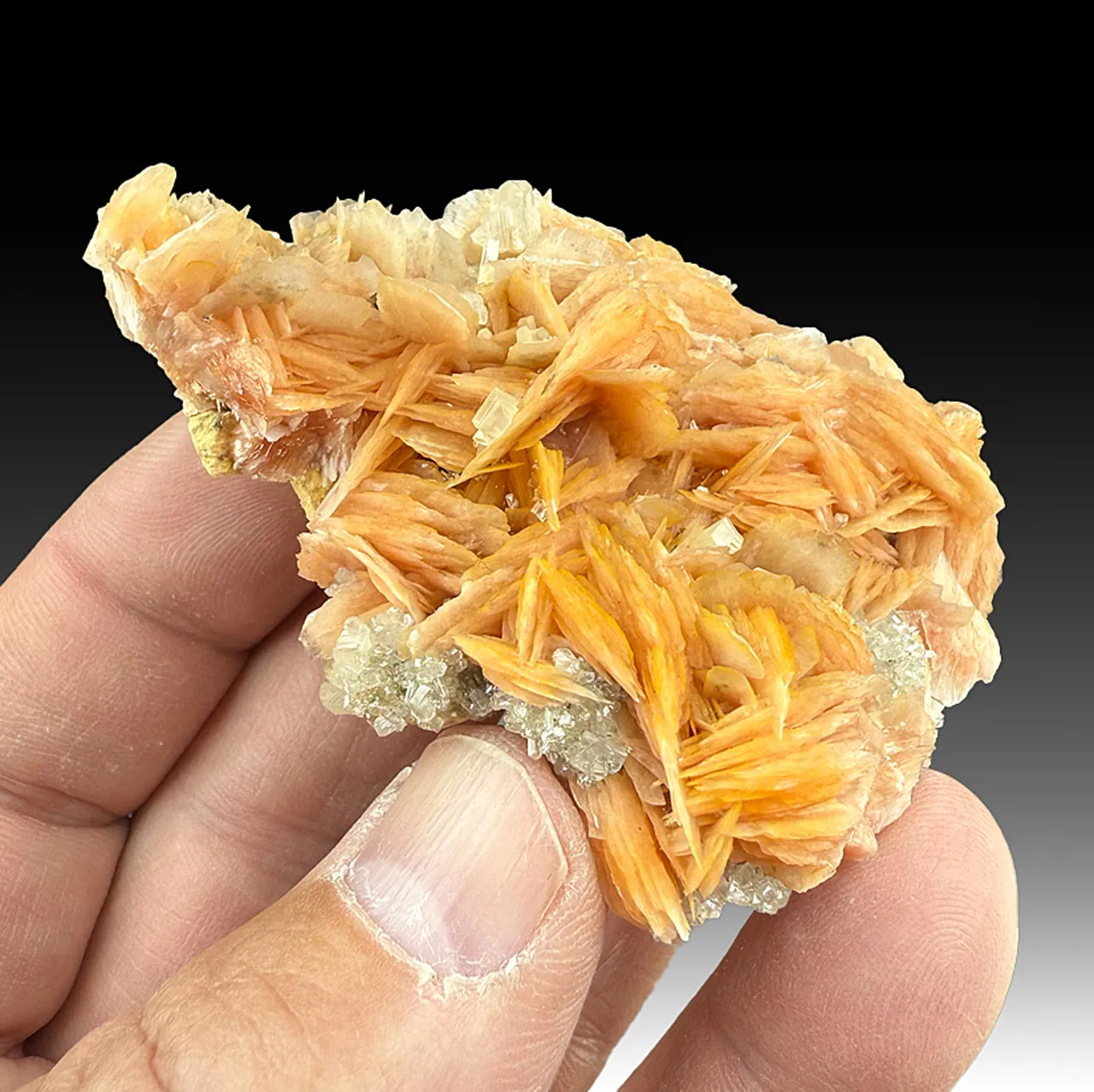 Cerussite with Barite - image 1