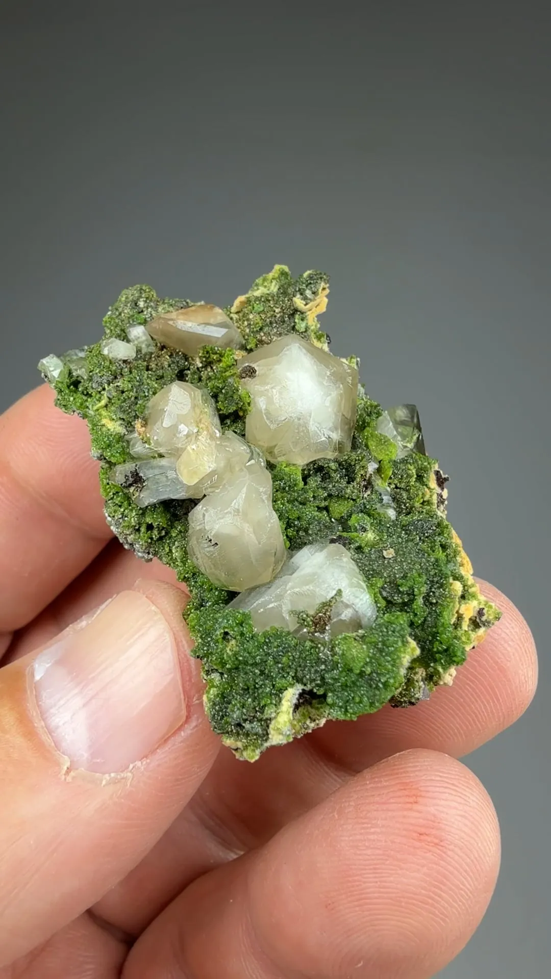 Cerussite with Beudantite - image 2