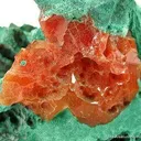 Cerussite With Chalcotrichite Inclusions on Malachite - image 3