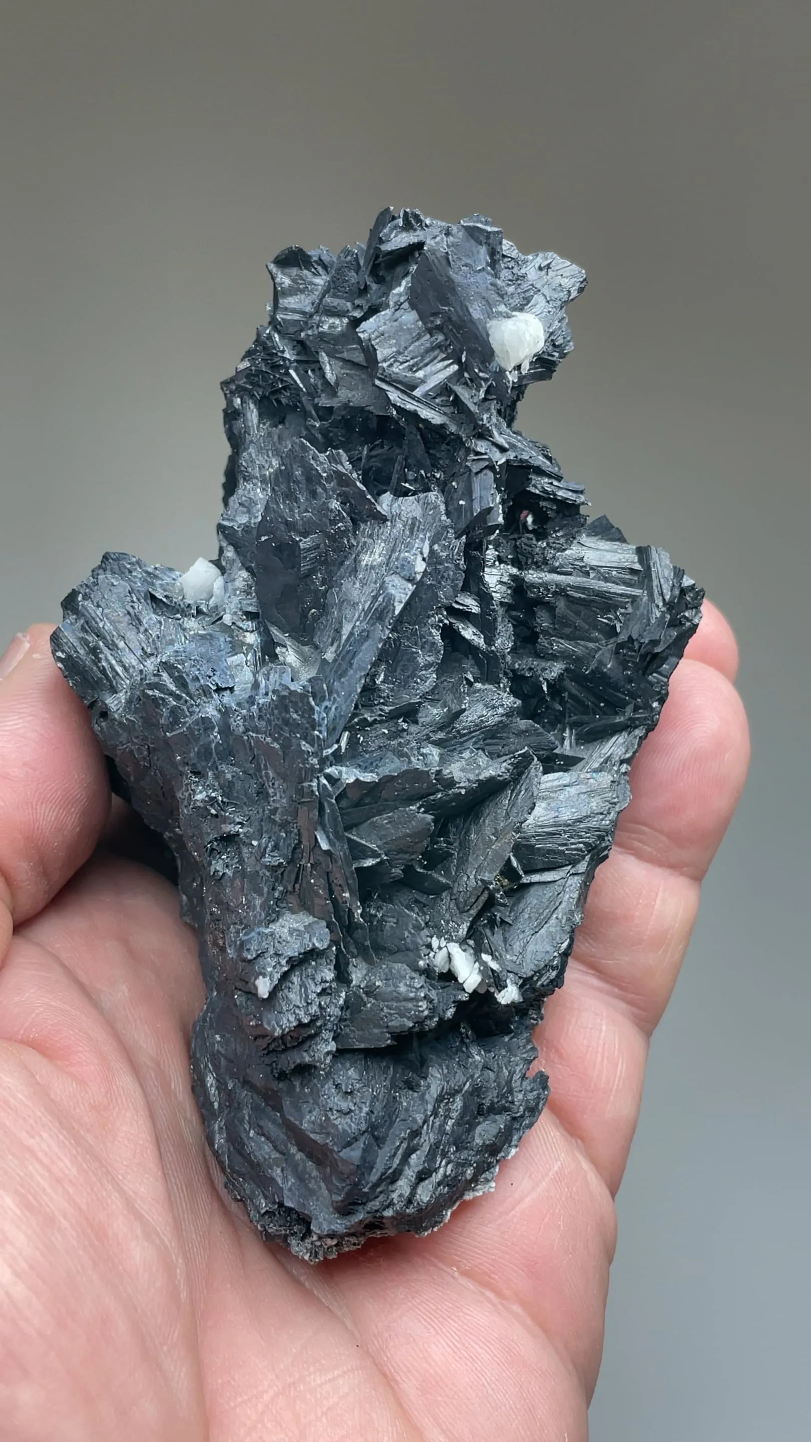 Cerussite with Galena - image 2