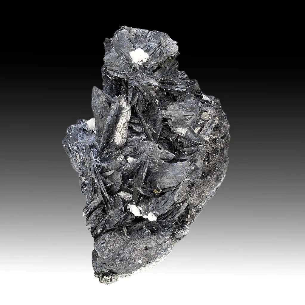 Cerussite with Galena image