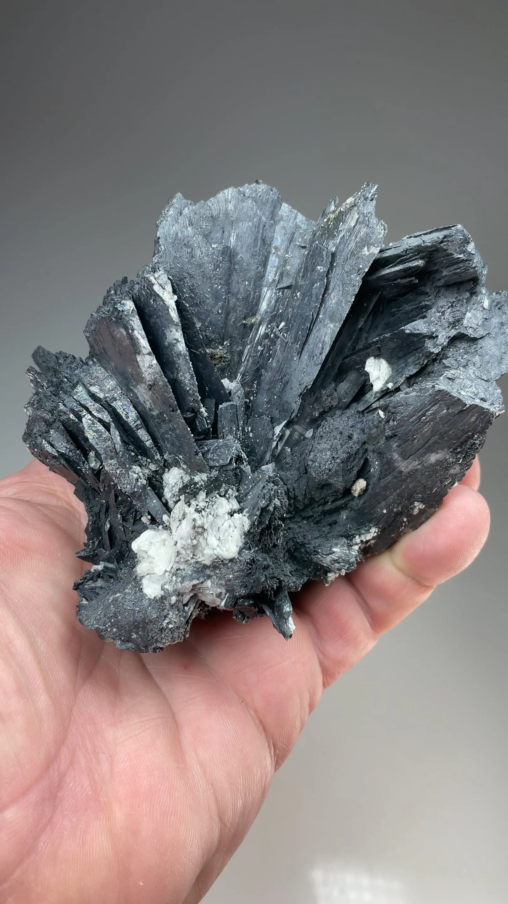 Cerussite with Galena - image 2