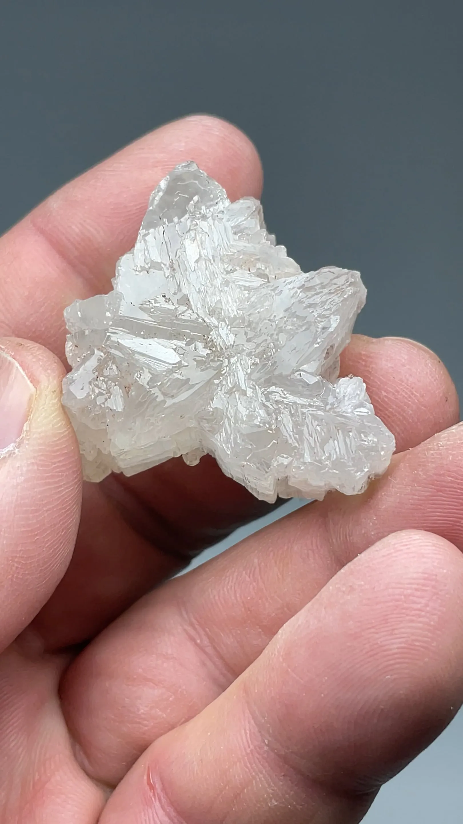 Cerussite with Goethite - image 2