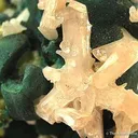 Cerussite With Pyromorphite and Malachite - image 2