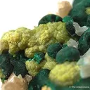 Cerussite With Pyromorphite and Malachite - image 3