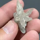 Cerussite with Quartz - image 2
