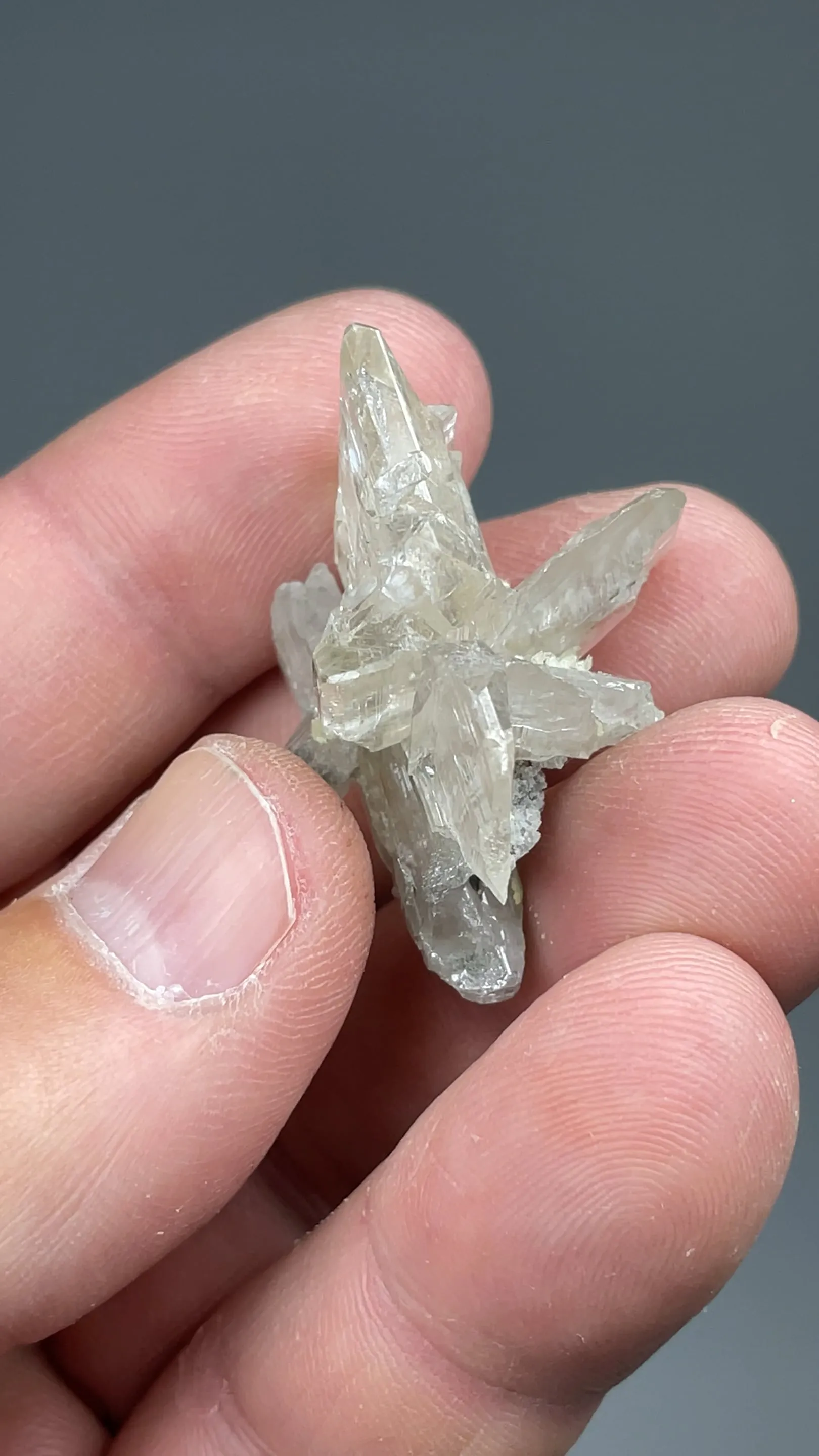Cerussite with Quartz - image 2