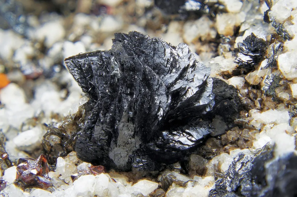 Cervandonite-(Ce) image