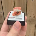 specimen video