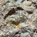 CHABAZITE ON THOMSONITE - image 3
