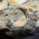 Chabazite on Vug filled basalt Matrix - image 3